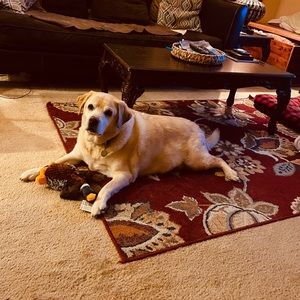 Meet your Posher, Michelle